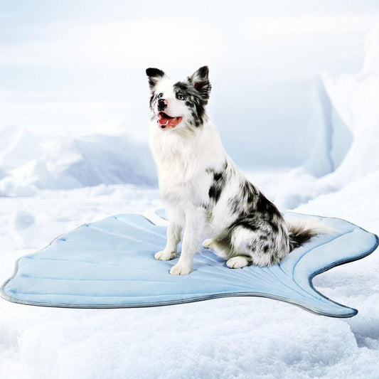 Vagascape Dog Cooling Eco-Friendly Mat, Cooling Pad, Pet Cool Mats for Dogs and Cats Use in Crate, Tunk, Camping, Outdoors, Portable, Machine Washable, Durable, without Gel